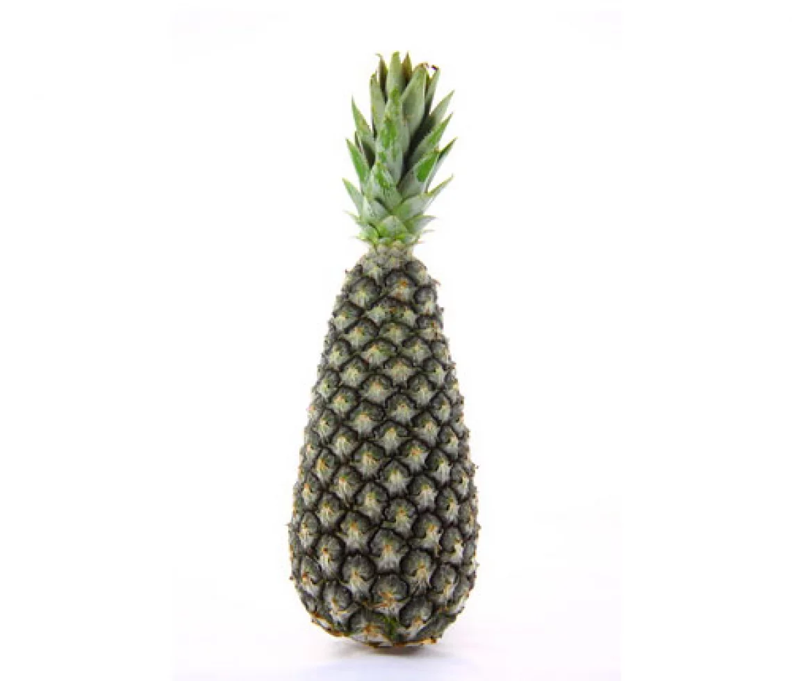 Ananas Pain de Sucre 