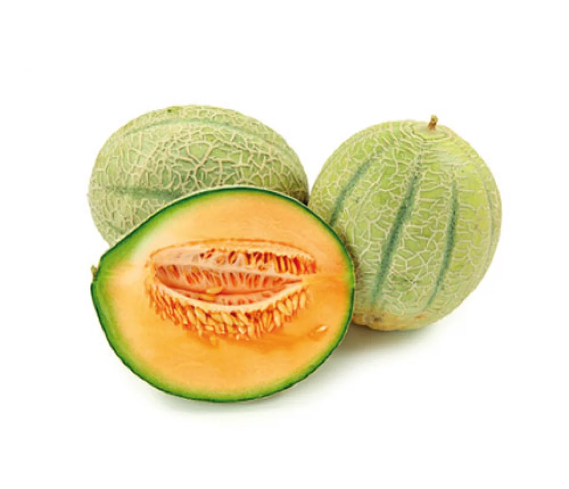 Melon charentais - Pi&egrave;ce KG