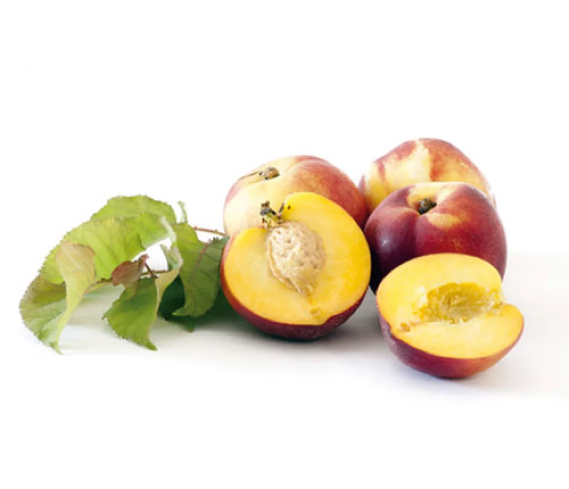 Nectarine jaune - KG