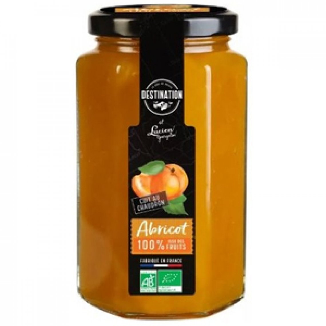 Purée d'Abricots - 300G - Destination