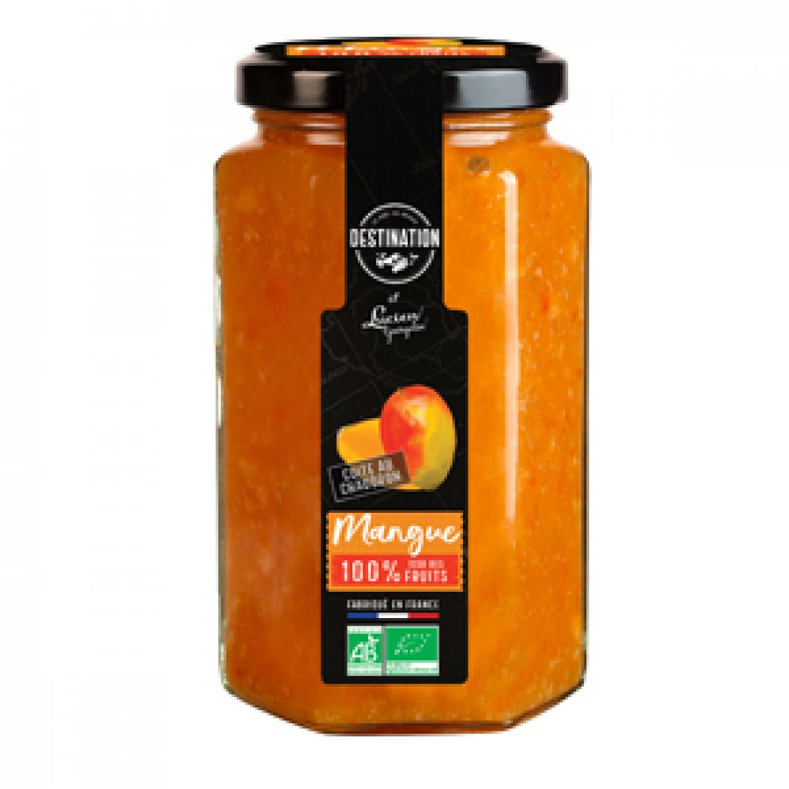 Purée de Mangues - 300G - Destination