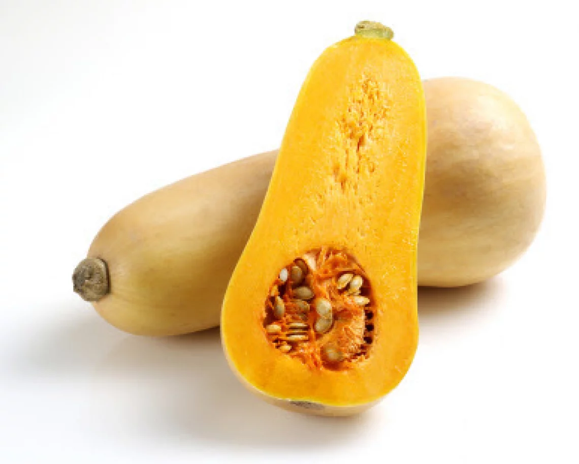 Courge butternut - KG