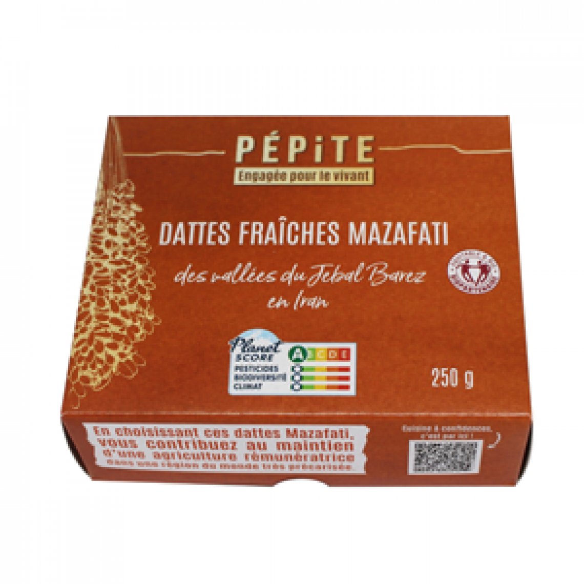Dattes Fraîches Mazafati Perles de Bam BIO - 250G  (Iran)