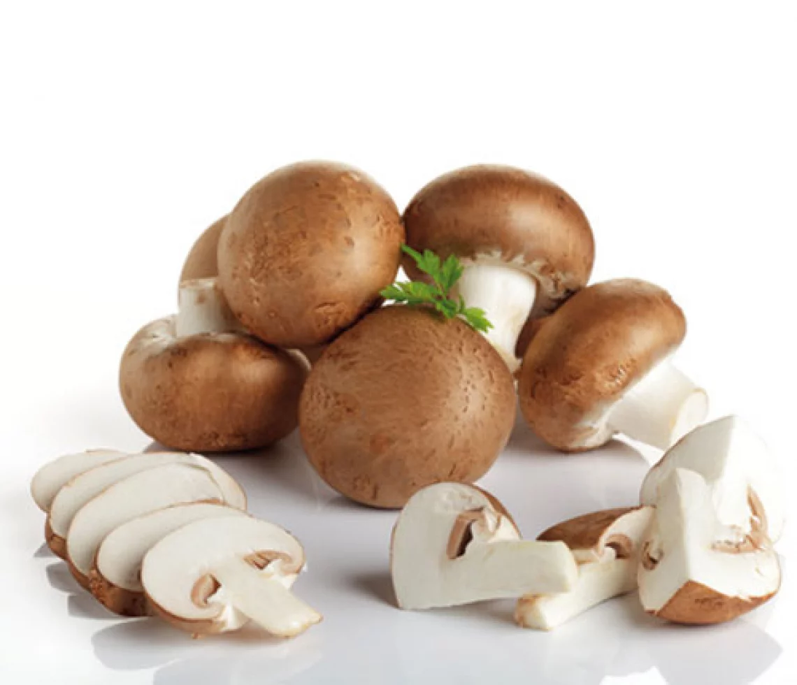 Champignons de Paris Brun - 500GR