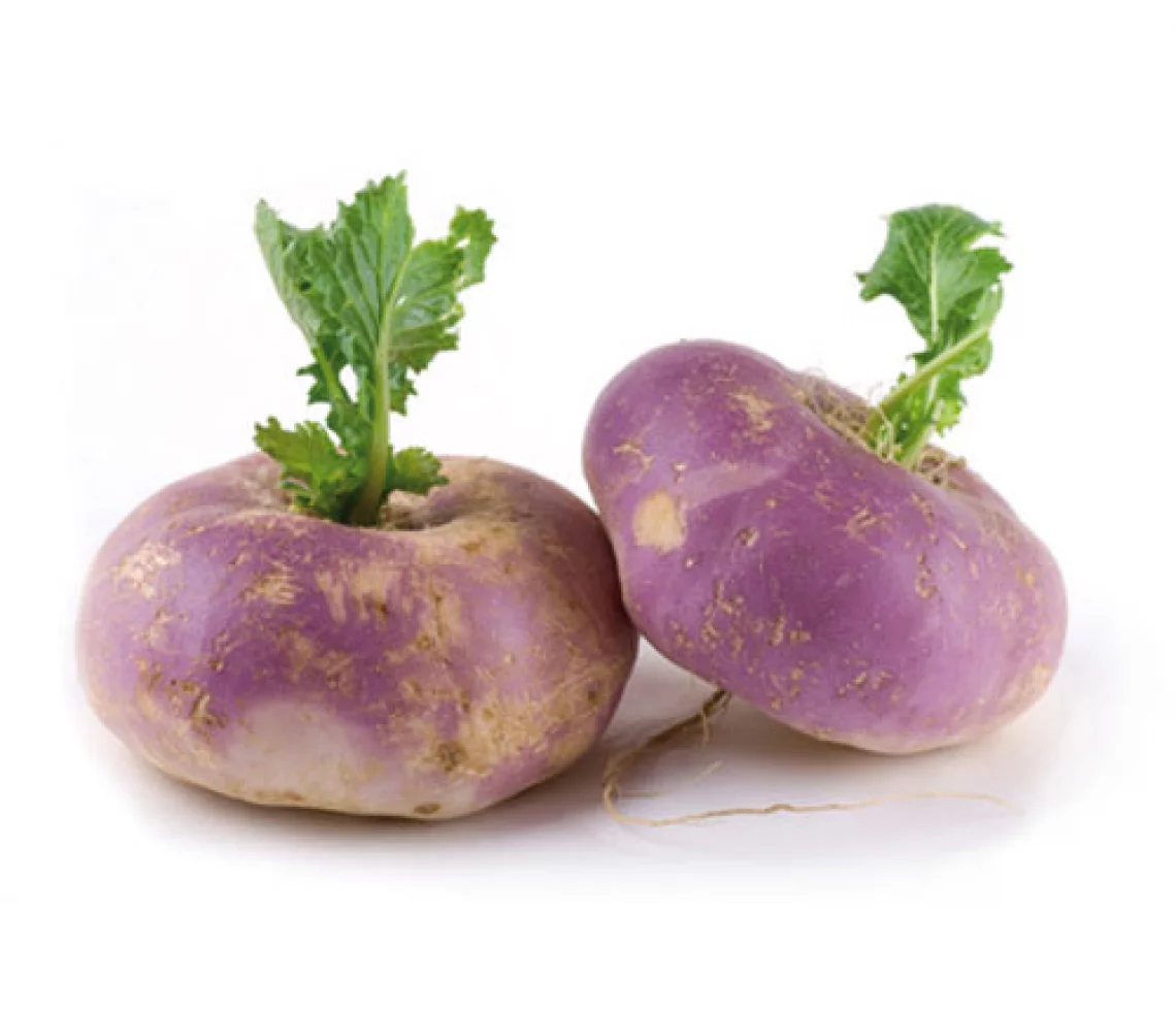 Navets Violets 1KG