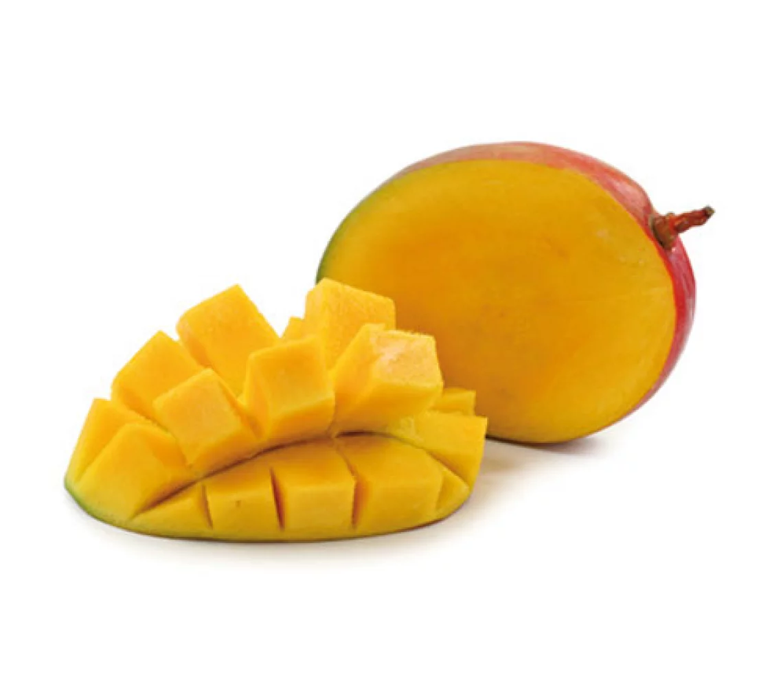 Mangue Kent Pi&egrave;ce 