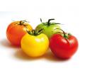 Tomates Cerise grappe BIO - 500GR ou 1KG - Sicile