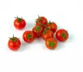 Tomates cerise grappe - 500GR