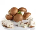Champignons de Paris Brun - 500GR