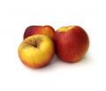 Pommes Rouges Story/Gala BIO - 1 ou 2KG - FRANCE