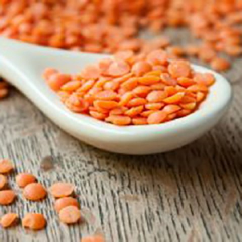 Lentilles Corail - 5KG - Ferme Saint Germain