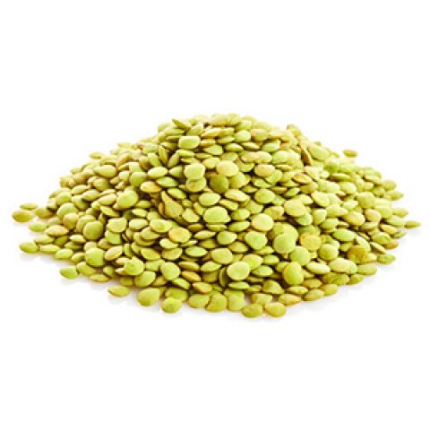 Lentilles Verte 5KG Ferme Saint Germain