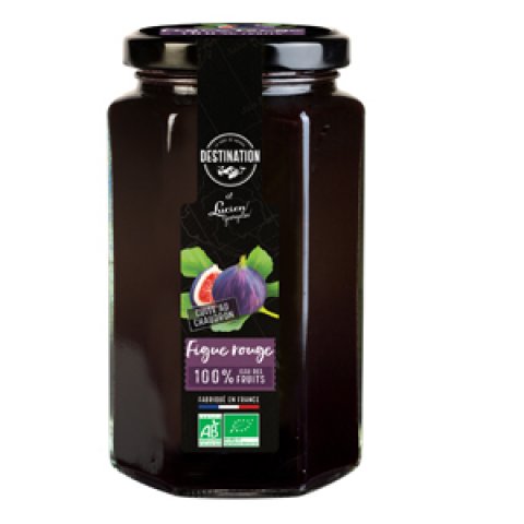 Purée de Figues - 300G - Destination
