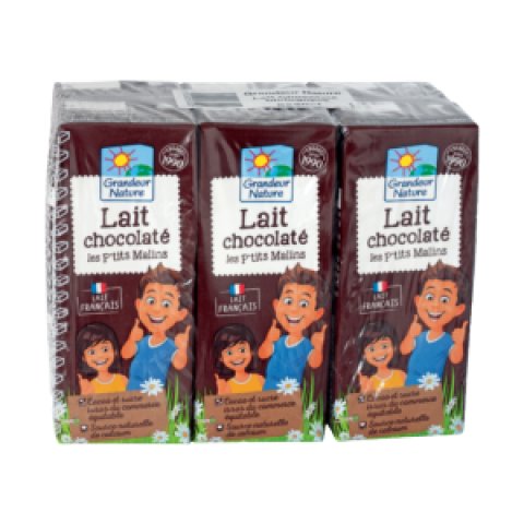 Lait au Chocolat 6 x 20CL Grandeur Nature