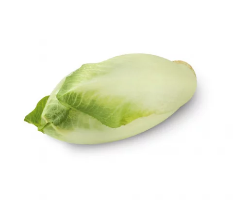 Endives 500G