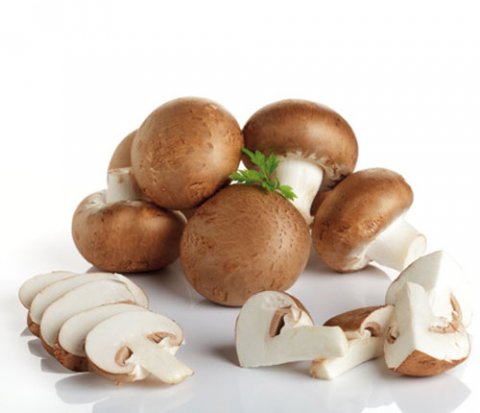 Champignon de Paris Brun BIO - 750GR - FR/BEL